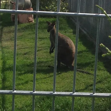 Charme Casa de Férias *